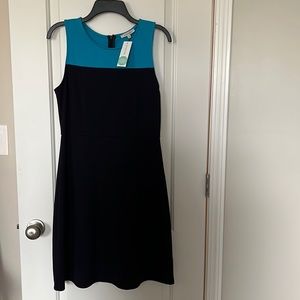 41 Hawthorn Lucinda Colorblock knit dress